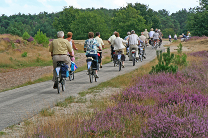 Fietsende hollanders